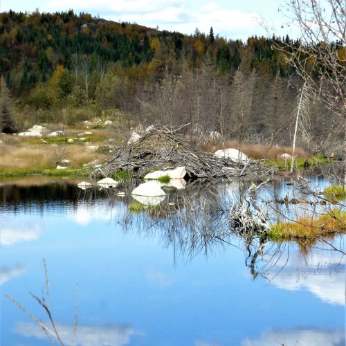 Prairie Lake - Centre Lake