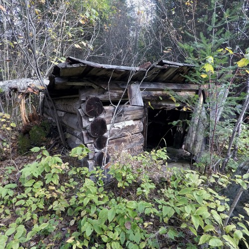 Sunbeam Project - ruins of the 100 yr old mining camp